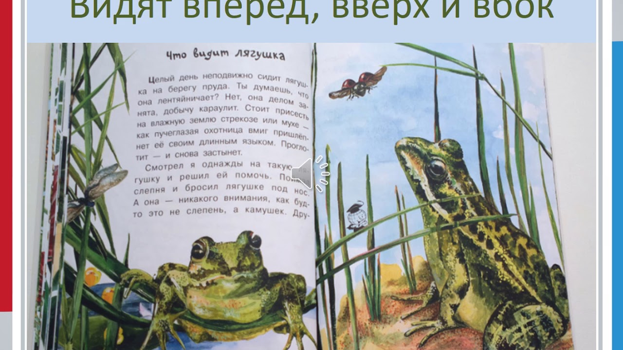 Где зимуют лягушки занятие в подготовительной группе презентация