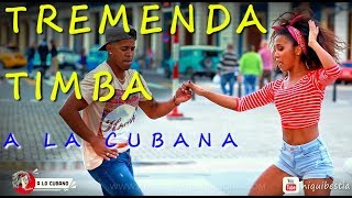 EXCELENT TIMBA CUBANA en La Habana - rumba salsa cubana chords