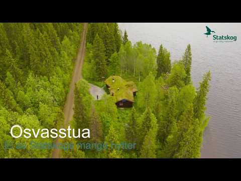Video: For Alle Oss Som Slapper Av I Hytta Mens Partnerne Våre Er På Ski - Matador Network