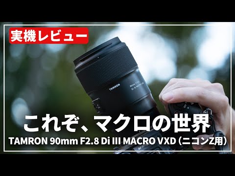 Nikon F80 フィルムカメラ TAMRON レンズ Nikon ニコン F80 一眼レフ フィルムカメラ レンズ TAMRON Nikon