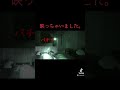 カメラが捉えた霊さん？？
