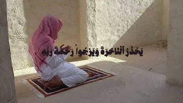 سورة الزمر || الشيخ أحمد بن طالب