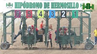 Carreras de Caballos 14 de Abril 2024 en el Hipódromo de Hermosillo