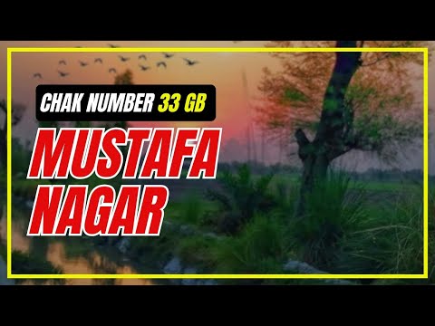 Chak Number 33 GB Mustafa Nagar, Singh Khalsa Jaranwala, Satiana, Faisalabad Punjab Pakistan IndozTV