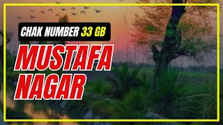 Chak Number 33 GB Mustafa Nagar, Singh Khalsa Jaranwala, Satiana, Faisalabad Punjab Pakistan IndozTV