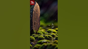 "Surah Al Imran | سورة آل عمران تلاوت"