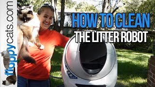 How to Clean the Litter Robot 3 Open Air Automatic Litter Box