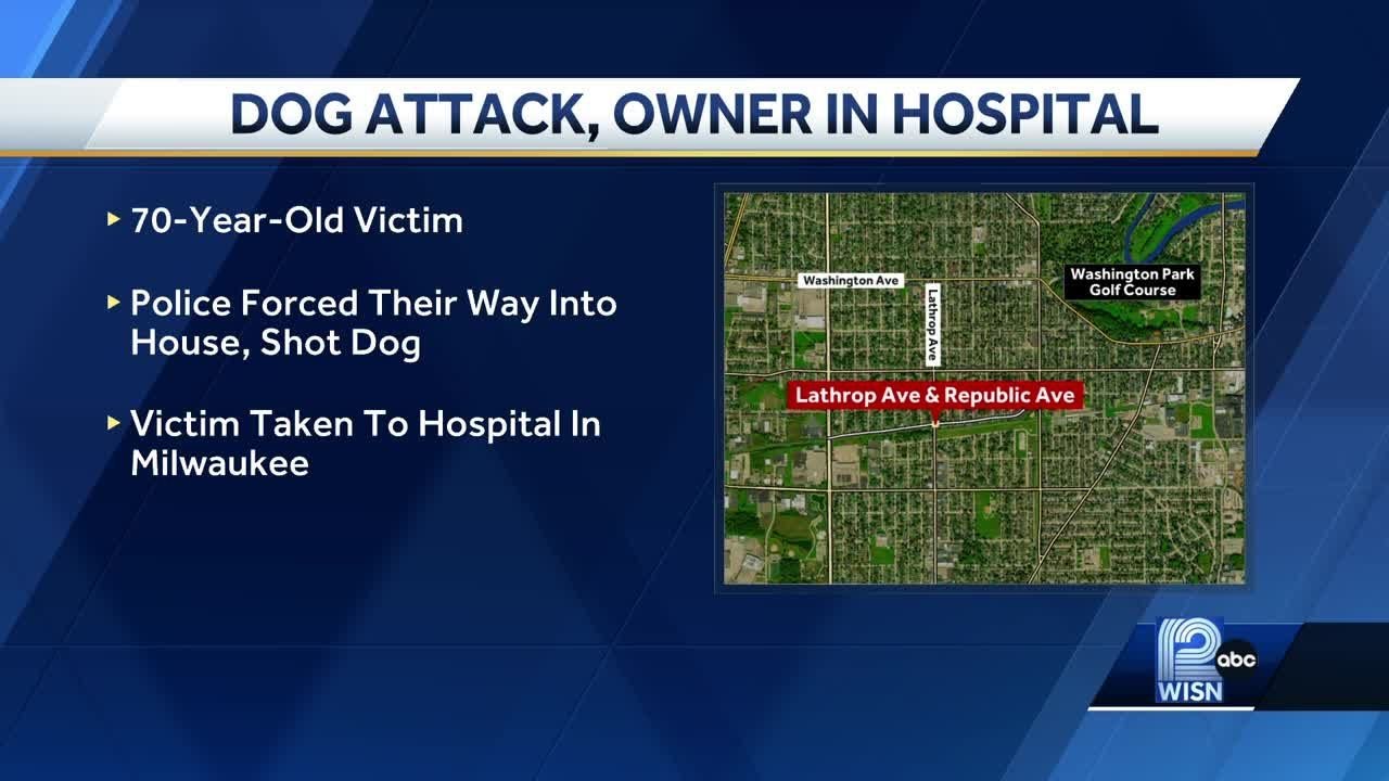 70-year-old Racine woman severely injured in dog attack - YouTube
