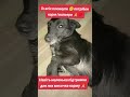 11 апреля 2026 г.