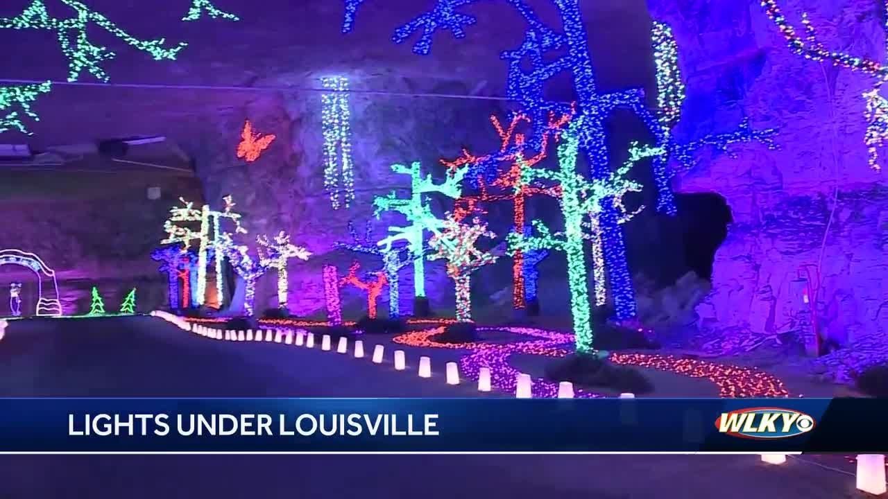 Enchanted forest at Lights Under Louisville featuring millions of