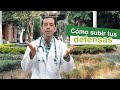 ¿Sabes cómo subir tus defensas?