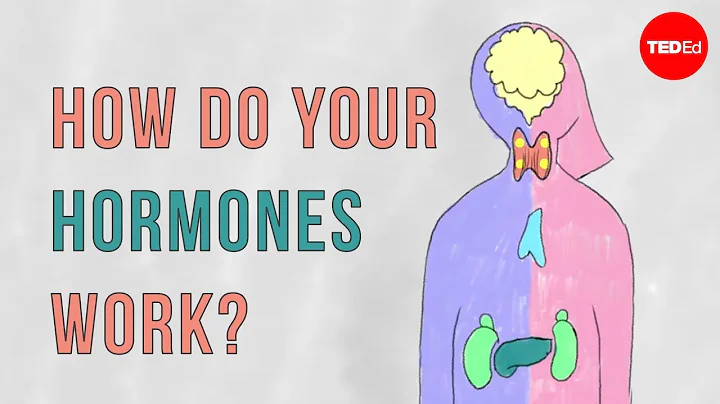 How do your hormones work? - Emma Bryce