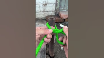 How to tie a pig