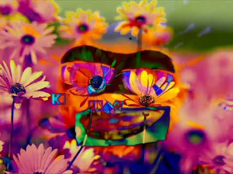 Klasky Csupo 4ormulator V45 