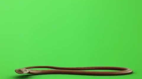 Green Screen FX 2C Snake King Cobra