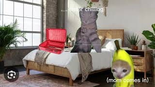 Cat Memes Field Trip Part 1