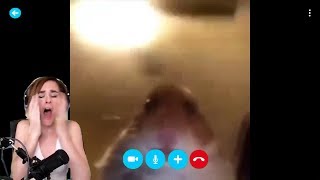 Staring Hamster Skype Meme (Hamster Web Cam Meme)