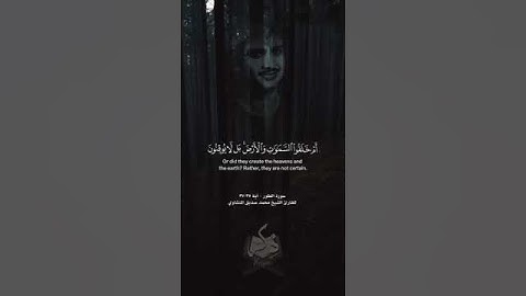 سورة الطور- آية ٣٥ - ٣٧ للقارئ الشيخ : محمد صديق المنشاوي ✨️🤍