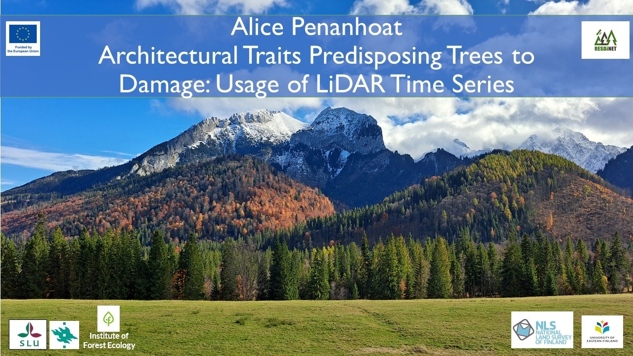 Architectural Traits Predisposing Trees to Damage: Usage of LiDAR Time Series
