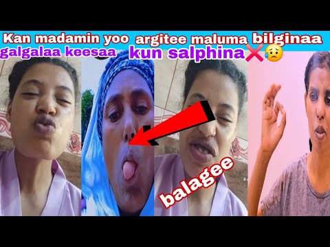 Salphinaa Kun Madami Argitee Waan Jetee Maloo Shamaraan Tenyaa Maltuu Dhufaa Jiraa Safuu Gudaa