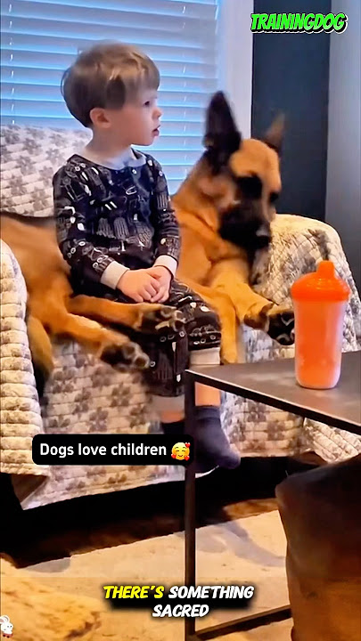 🐕❤️ The Gentle Side of Warriors #dog #k9 #germanshepheard #dogtraining #puppy #pets