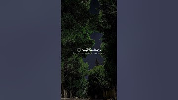 سوره الضحى || بصوت الشيخ ياسر الدوسري 🎧🤍 #quran #راحه_نفسيه #اكتب_شي_توجر_عليه ##fyp #foryou