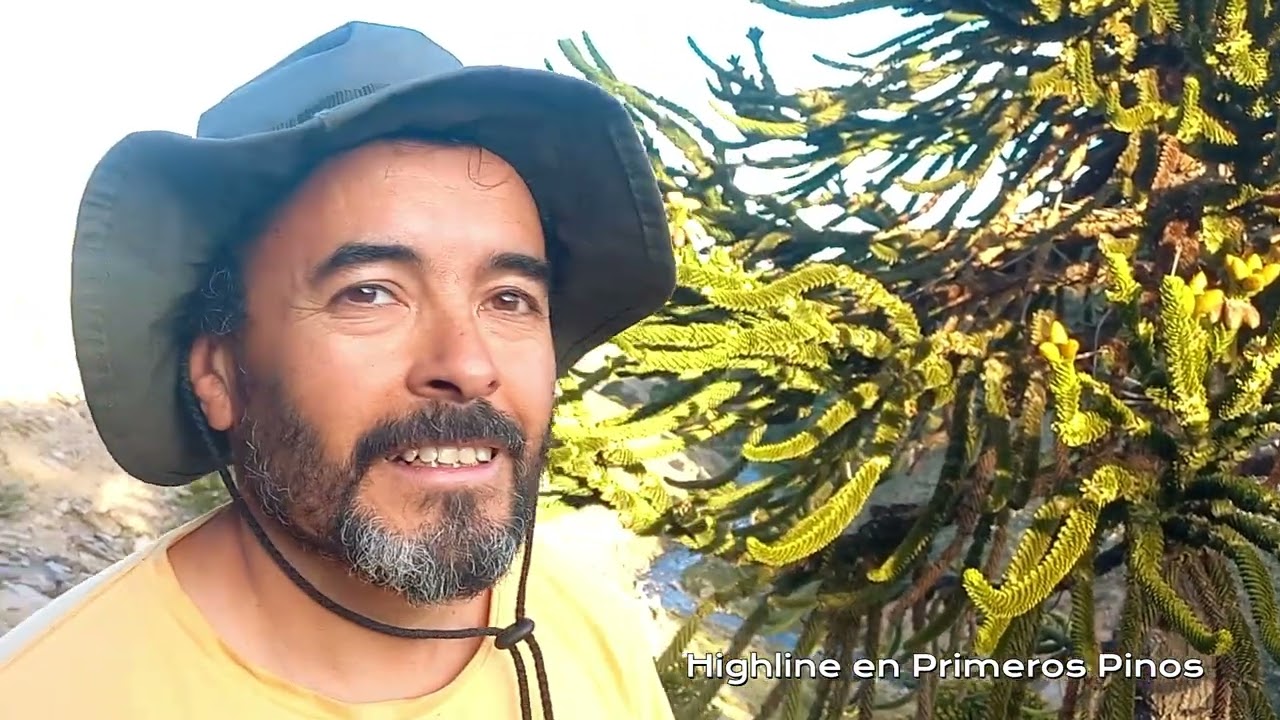 Highline en Primeros Pinos