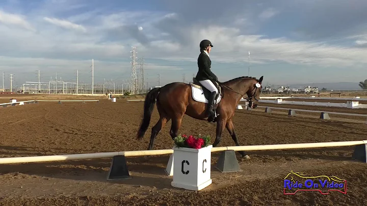 014D Jeanette Gilbert on The Alchemist Preliminary...
