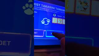 Hayatımda Ilk Deva Tilki Kitty Aldım Şoktayım