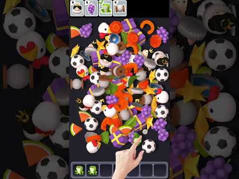 120 e0010 Find Master 3D - Triple Match