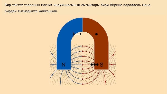 Француз жетілігінің жыныстық шежіресі (mp4)