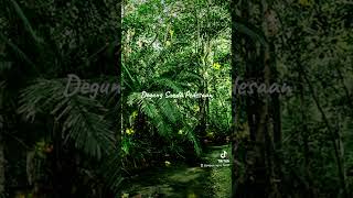 Musik Sunda Relaksasi