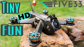 533 Tiny Trainer with stripped Caddx Vista