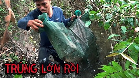 Bẩy Cửa Ngục Trúng To sticky terrible eel