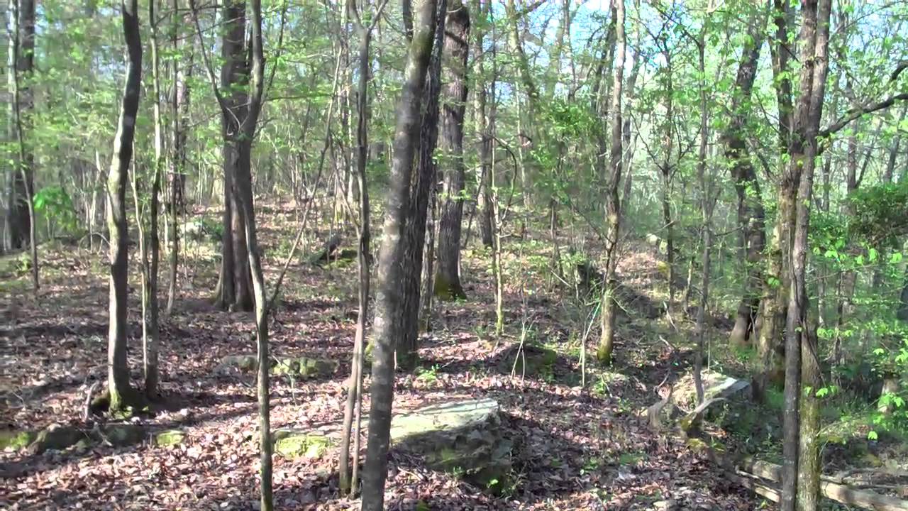 The Blount Springs Hotel site. YouTube