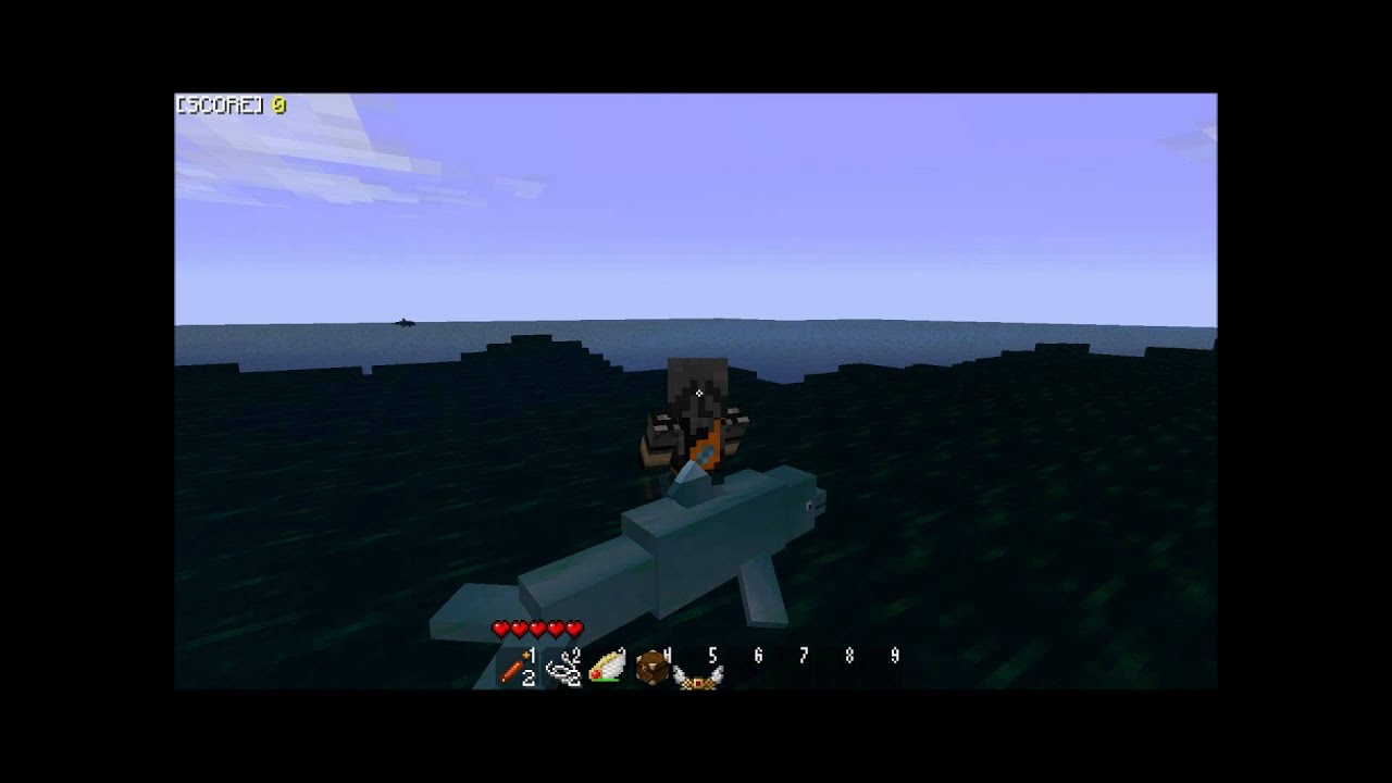 My Minecraft Dolphin Ride