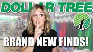 10 Things to buy at Dollar Tree in August 2023 | DOLLAR TREE FINDS