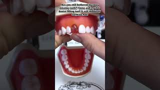 Youve Got To Be Kidding Me Cynosurean