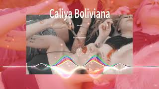 Caliya - Boliviana Resimi