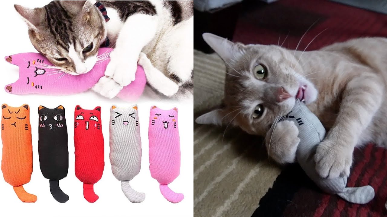 Legendog 5Pcs Catnip Chew Toy Review - YouTube