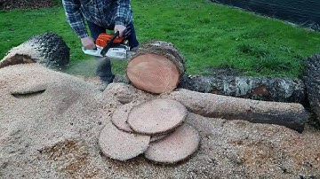 ms261 before and after port work