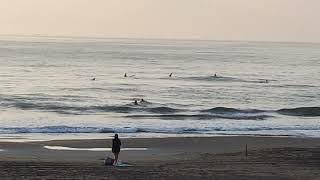 20220315宜蘭頭城雙獅浪點浪況Surf spot: Double Lion beach ... 