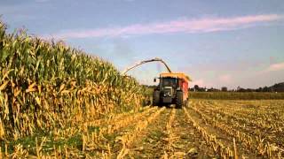 Claas Jaguar 960 mit Orbis 750 (Sound!!!)