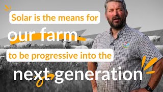 Sheep farmer on solar grazing opportunities  | Voices from Honeysuckle Solar