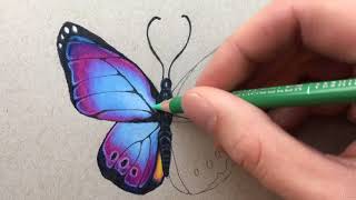 pencil colored drawing beginner advanced course