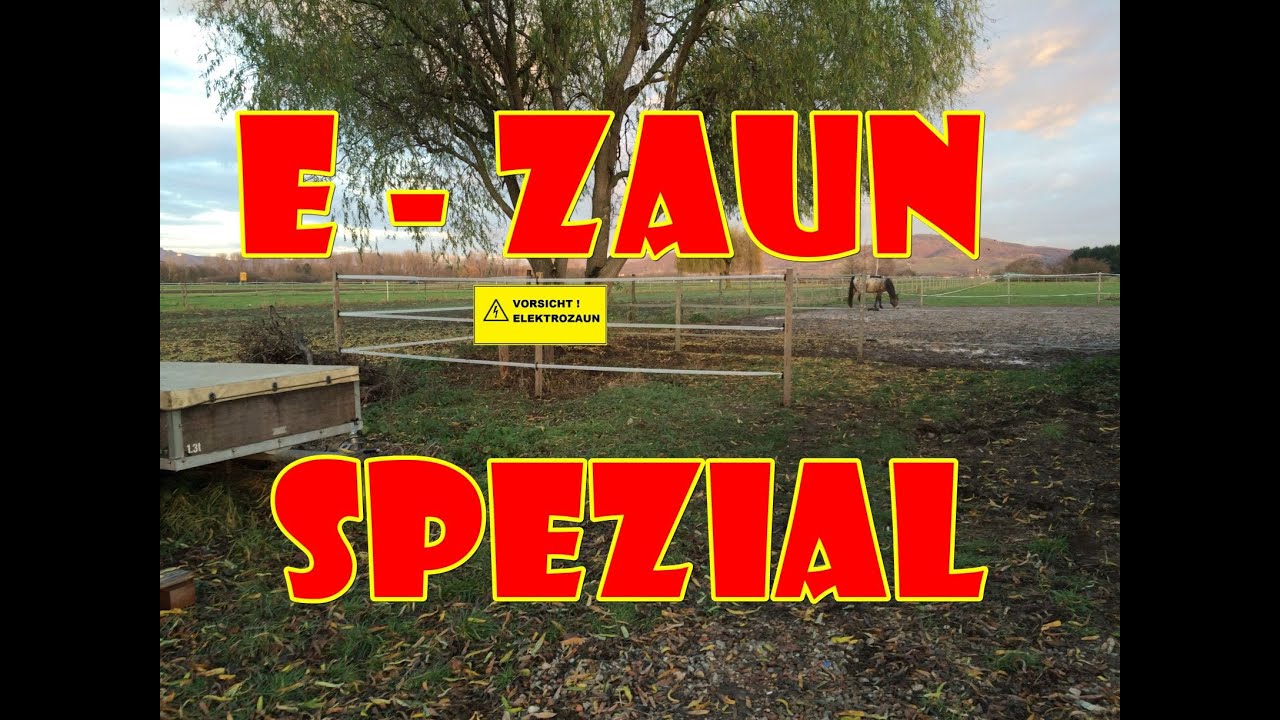 Pferde im Offenstall - E-Zaun Spezial | Pferde Hoschi