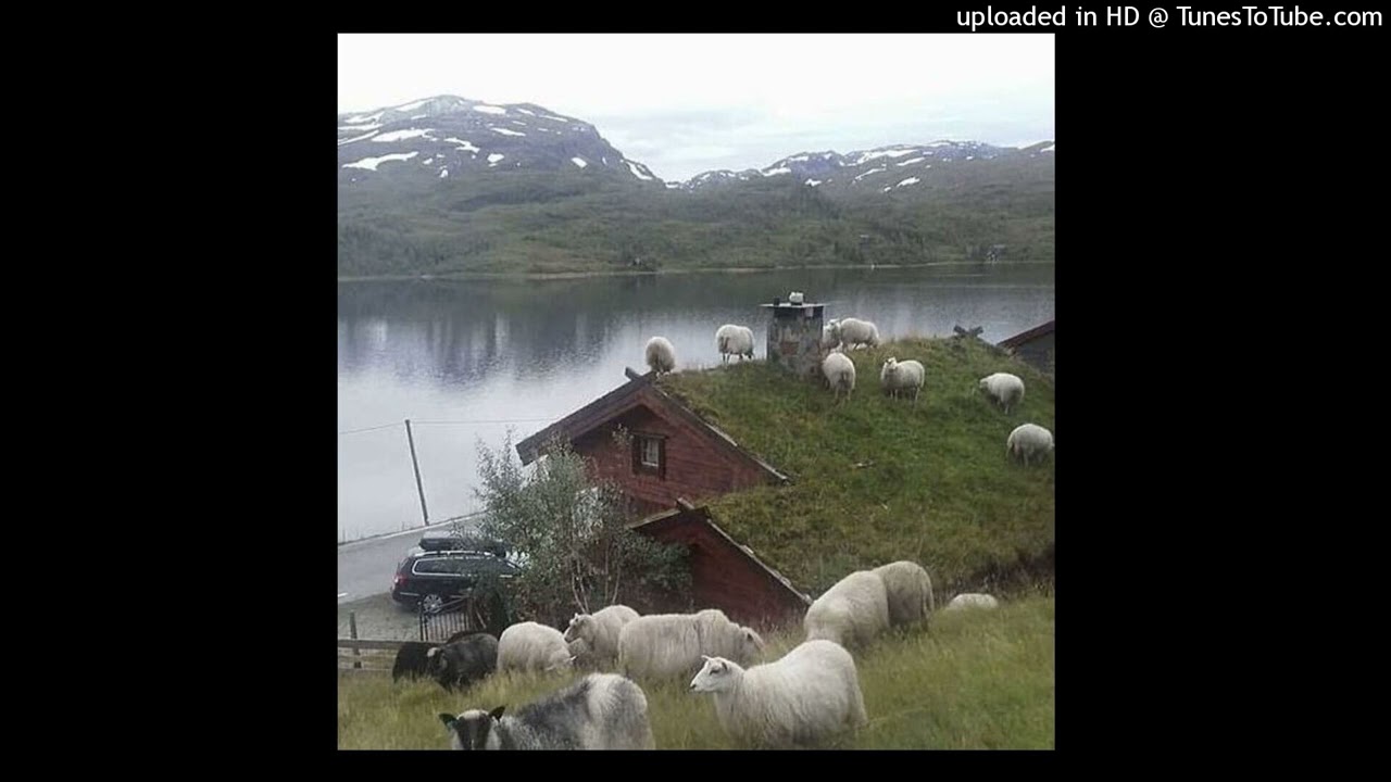 [free] heavy slowdive + shoegaze type beat - "qashqai"