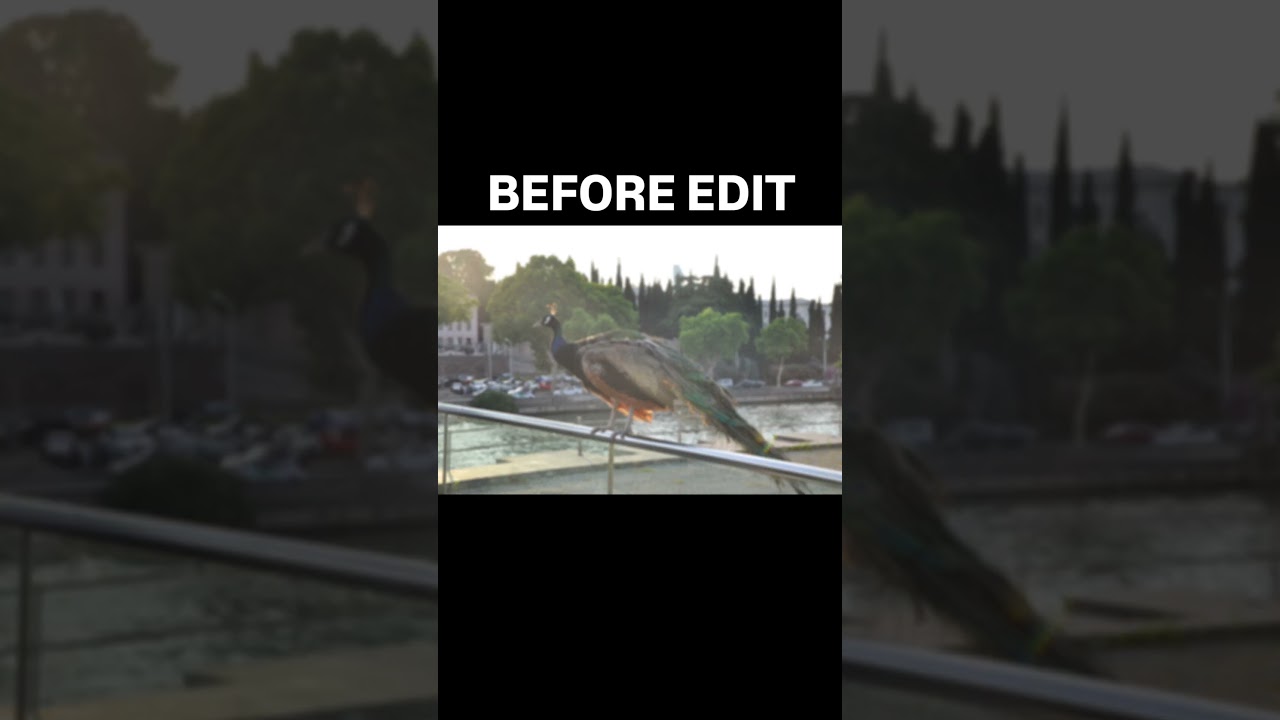 Power of edit in Lightroom app, from RAW to cinematic photo camera 📸