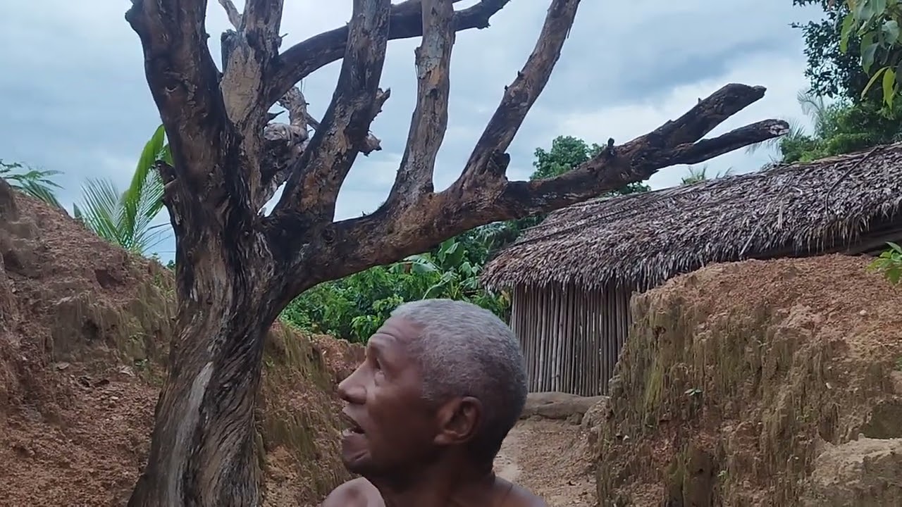 SITIO A VENDA EM TIMBIRAS COM CASA COM VARANDA, AÇUDE E MUITAS PLANTAS FRUTÍFERAS