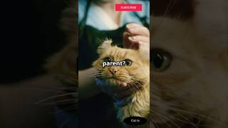 5 SIGNS YOU'RE A GREAT CAT OWNER #shorts #cat #ytshorts Wealth